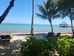 玛雅湾玛雅海滩酒店的海滩上,有椅子和棕榈树,还有大海