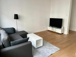 慕尼黑Modern Apartment in the center of Munich的带沙发和平面电视的客厅