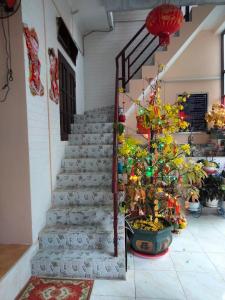 昆岛Bảo Hoàng HomeStay的植物间里一套楼梯