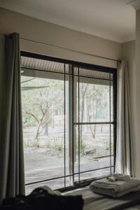 Quorrobolong猎人谷假日公园的卧室设有窗户,享有庭院的景色