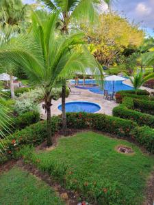 奎波斯城Laguna Eco Village #205 Pool/ Tennis Courts/ BBQ的一个带游泳池、棕榈树和灌木的度假胜地