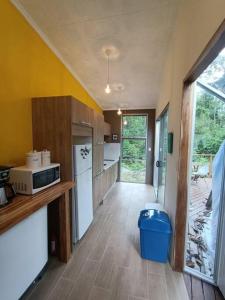 比加瓜Bitzu Dome-Bijagua Riverside Glamping的厨房设有黄色的墙壁和带冰箱的柜台。