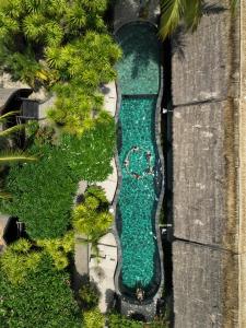 吉利特拉旺安吉利特拉万安 曼塔潜水度假酒店的树木繁茂的庭院中的一个游泳池