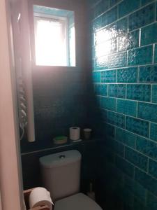 文特诺Wheelers Bay Apartment的蓝色瓷砖浴室设有卫生间和窗户