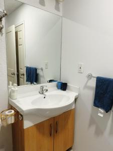 里士满Private Suite with Separated Entrance Monica's Home的浴室设有白色水槽和镜子