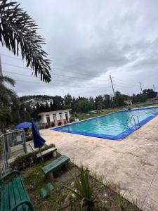 Santa RosaDream Condo in Santa Rosa的旁边设有绿色长凳的大型游泳池