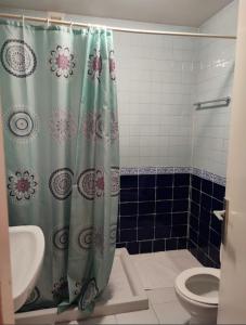 雷阿尔城埃尔莫利诺酒店的带淋浴帘和卫生间的浴室