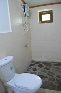 哈普特莱The Lodge at Galapitiyaya Estate的一间带白色卫生间的浴室和窗户。
