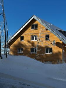 费尔德伯格Apartment Luise - direkt an der Skipiste - mit Sauna的前面有雪的木屋