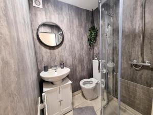 沃特福德COSY 2 Bed APARTMENT NEARBY TRAIN STATION!的一间带水槽、卫生间和镜子的浴室