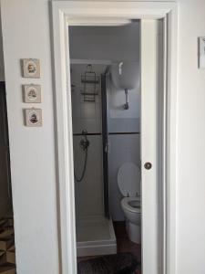 Macchia di MonteMasseria Vagone的一间带卫生间和淋浴的浴室