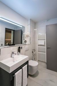 慕尼黑慕尼黑柯雷思公寓式酒店的一间带水槽、卫生间和镜子的浴室