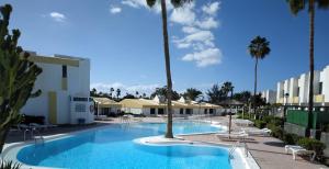 马斯帕洛马斯El Nidito的度假村内棕榈树游泳池