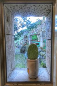 卡索拉Cazorla Paraíso Resort的一只仙人掌坐在窗户的锅里