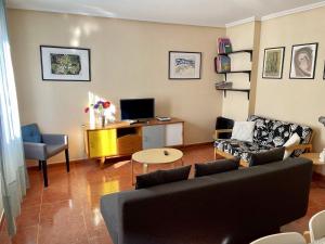萨拉戈萨Antequera3的带沙发和电视的客厅