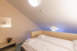 TronesNamsskogan Familiepark & Hotell的天花板上有两个灯的房间的一张床位