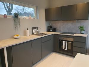 拉霍尔姆K39的厨房配有灰色橱柜和台面