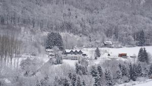 奥尔斯贝格新克恩威尔特瓦尔德酒店的雪覆盖森林中间的房子