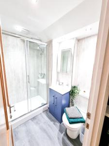 斯旺西Gorgeous Newly Renovated 2 Double Bed Flat的浴室配有卫生间、盥洗盆和淋浴。