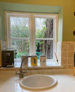 BridgeArms Cottage的带水槽的厨房台面和窗户