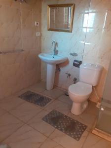卢克索Villa Nile House Luxor的一间带卫生间和水槽的浴室