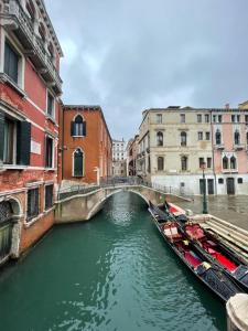 威尼斯阿拉法瓦酒店的两艘船在城市运河上的桥梁
