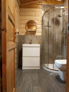 劳斯Parkwood Lodge的带淋浴、卫生间和盥洗盆的浴室