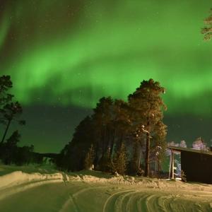 伊纳利Villa Paatari, Inari (Paadarjärvi)的天空中一片光明,树和房子