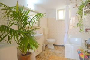 普拉卡米洛斯L'olivier Milos的一间带卫生间和植物的浴室