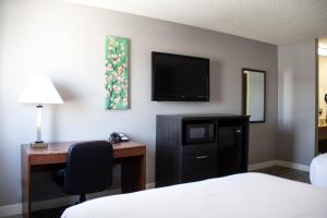苏城苏城新维多利亚酒店 的酒店客房配有一张床、一张书桌和一台电视。