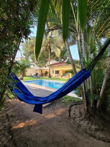 黑角Sompteuse villa avec piscine à 5 min de la plage的游泳池旁棕榈树上的蓝色吊床