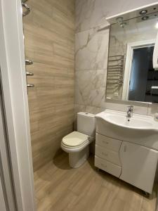 文尼察Apartments in Pyrogovo的一间带卫生间、水槽和镜子的浴室