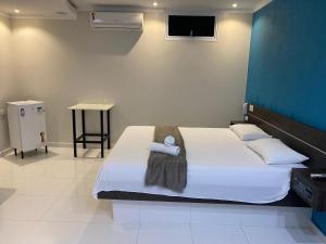 圣代佩德罗HOTEL E POUSADA ISIS的一间卧室配有一张带白色床单的床和一台电视。