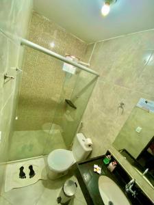 MartinsPousada O Canto do Jacu的带淋浴、卫生间和盥洗盆的浴室