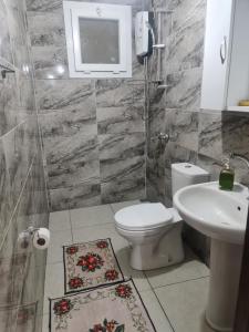 费特希耶Bahçeli büyük köy evi的一间带卫生间和水槽的浴室