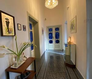 比萨Le Muse的走廊上设有门、桌子和植物
