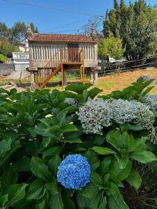 庞特维德拉Agradable casa rural entre Pontevedra y Arcade的一座种植了蓝色花卉和木凳的花园