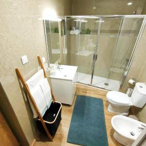加亚新城Herama Garden Guesthouse的带淋浴、卫生间和盥洗盆的浴室