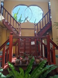 普吉镇两房精品旅馆的楼里栽有盆栽植物的楼梯