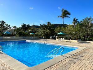 弗雷德达尔Bare Feet Retreat的一座拥有蓝色海水和棕榈树的游泳池