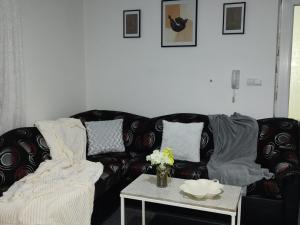 弗尔尼亚奇卡矿泉镇Apartman Raj的客厅配有黑色沙发和桌子