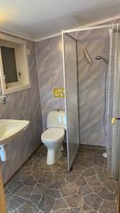 法尔松Hytte at Oyvoll in Farsund的浴室配有卫生间、盥洗盆和淋浴。