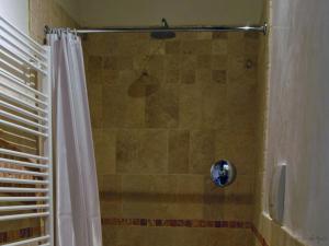 特雷维索La Vigna B&B的浴室内配有淋浴帘。