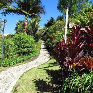VillamaríaCASA DE CAMPO VILLA OLI!! - Un paraiso natural en la ciudad的一条穿过种有棕榈树和植物的花园的小路