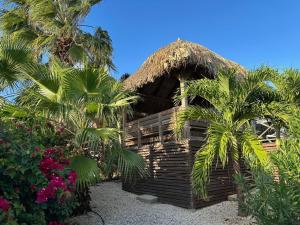 威廉斯塔德Cozy holiday villa at the Damasco resort near Jan Thiel on Curacao的一座带茅草屋顶和棕榈树的度假建筑