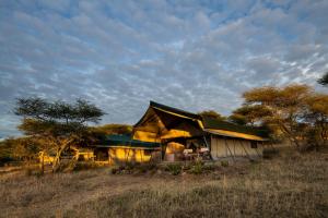 塞伦盖蒂Serengeti Woodlands Camp的田间中的房子