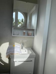 FilaosLa Croisette appartement vue mer à 1mn de la plage + parking的一间带水槽和镜子的浴室