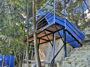 金马仑高原Orkid Chalet的通往树的蓝色楼梯
