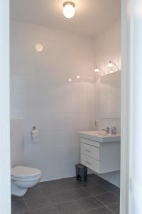 德里默伦De Dorsvloer的白色的浴室设有卫生间和水槽。