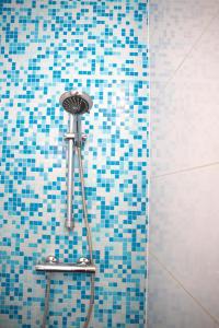 德里默伦De Dorsvloer的浴室的墙壁上设有蓝色瓷砖和淋浴。